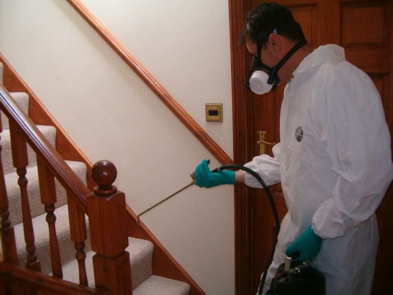 Mosquito Control